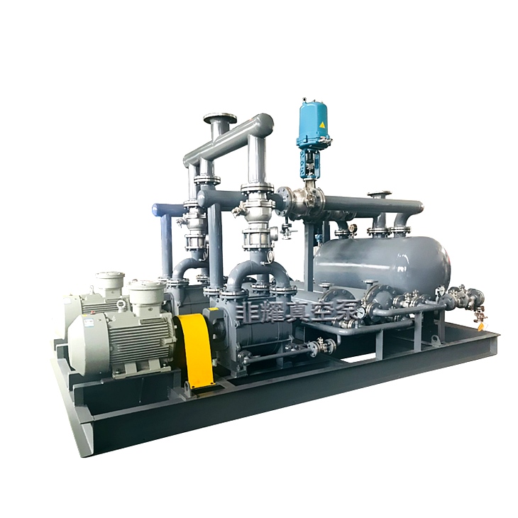 洗脱苯专用水环真空机组 洗脱苯专用水环真空机组
